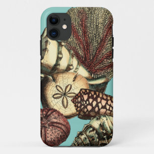 Türkis-Muschel und rote Korallen-Sammlung iPhone 11 Hülle