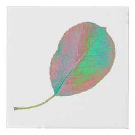 Türkis Pink Pear Tree Leaf Wrapped Canvas Print Künstlicher Leinwanddruck