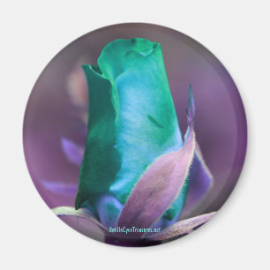 Türkis-Rosenknospe-Blumen-Fotografie-Magnet Magnet