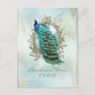 Türkis Shabby Peacock - Postkarte