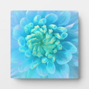 Türkisblau-Dahlia-Blume in Wasserfarbe Fotoplatte
