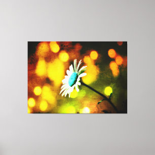Türkisblau-Daisy in goldummantelter Leinwand