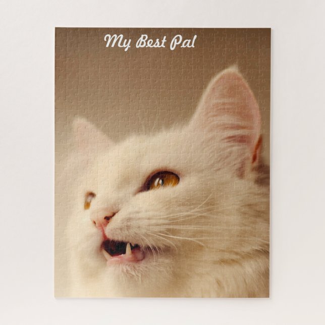 Türkische Angora Katze. (Vertikal)