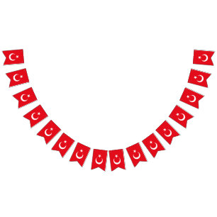 Türkische Flagge