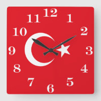 Türkische Flagge
