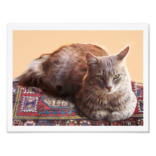 TÜRKISCHE KATZE AUF DEM ALTEN KARPET FOTODRUCK (Vorne)