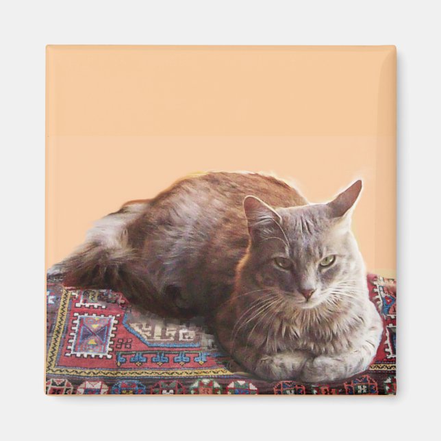 TÜRKISCHE KATZE AUF DEM ALTEN KARPET MAGNET (Vorne)