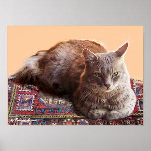 TÜRKISCHE KATZE AUF DEM ALTEN TEPPICH POSTER