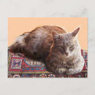 TÜRKISCHE KATZE AUF DEM ALTEN TEPPICH POSTKARTE