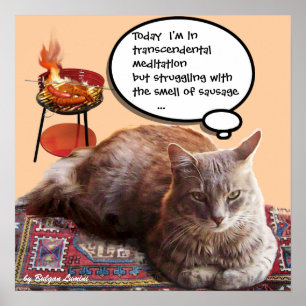 TÜRKISCHE KATZE IN TRANSZENDENTALER MEDITATION POSTER