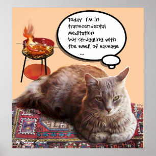 TÜRKISCHE KATZE IN TRANSZENDENTALER MEDITATION POSTER