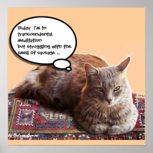 TÜRKISCHE KATZE IN TRANSZENDENTALER MEDITATION POSTER