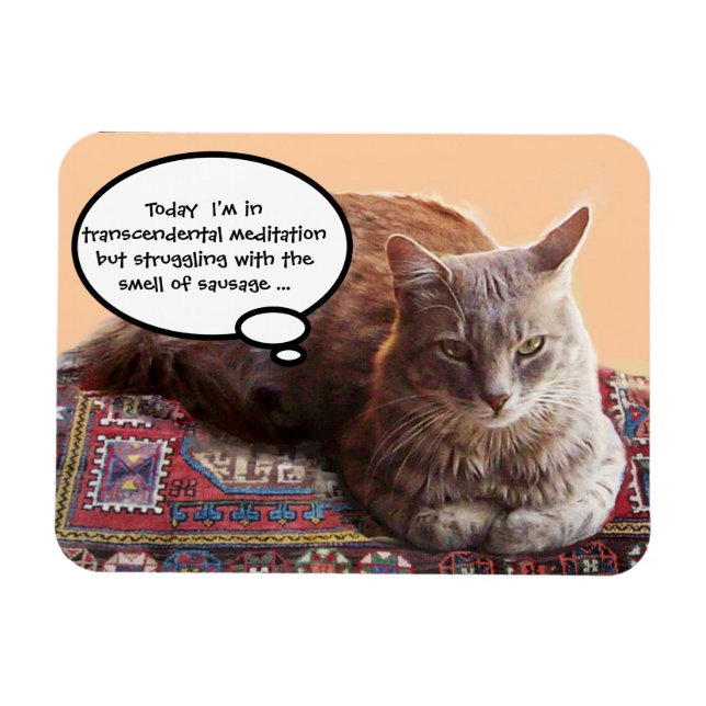 TÜRKISCHE KATZE IN ÜBERSCHREITENDER MEDITUNG MAGNET (Horizontal)