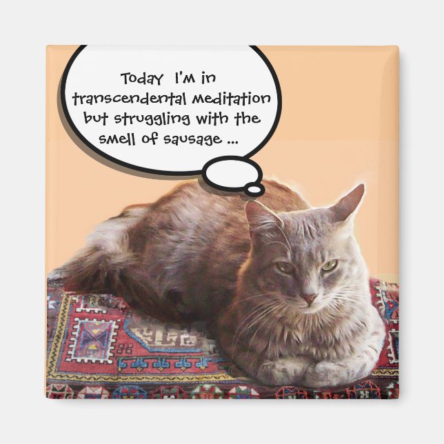 TÜRKISCHE KATZE IN ÜBERSCHREITENDER MEDITUNG MAGNET (Vorne)