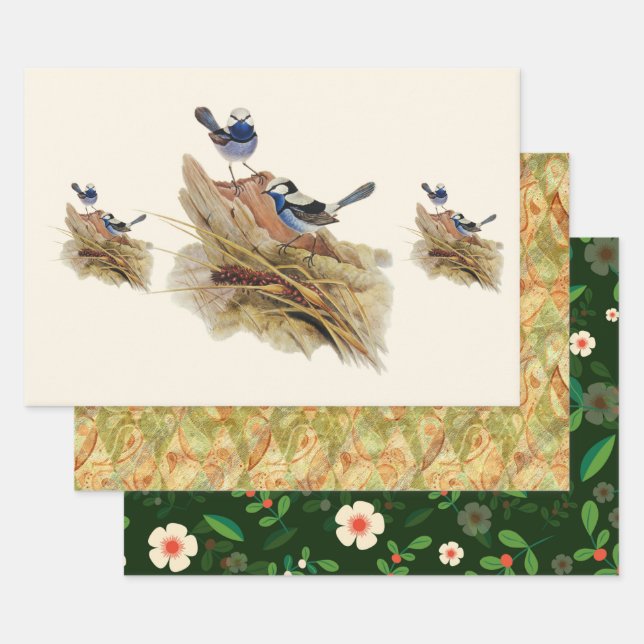 Türkische Küche Superb Warbler Geschenkpapier Set (Set)
