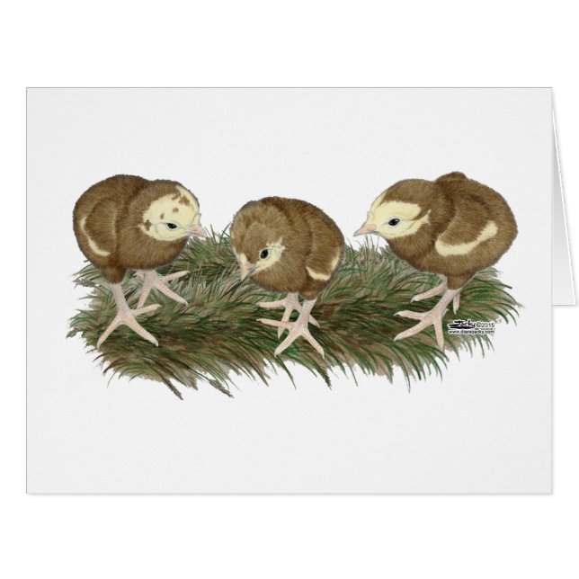 Türkische Schokoladenkuchen (Vorderseite (Horizontal))