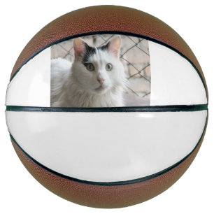 türkische Van Basketball