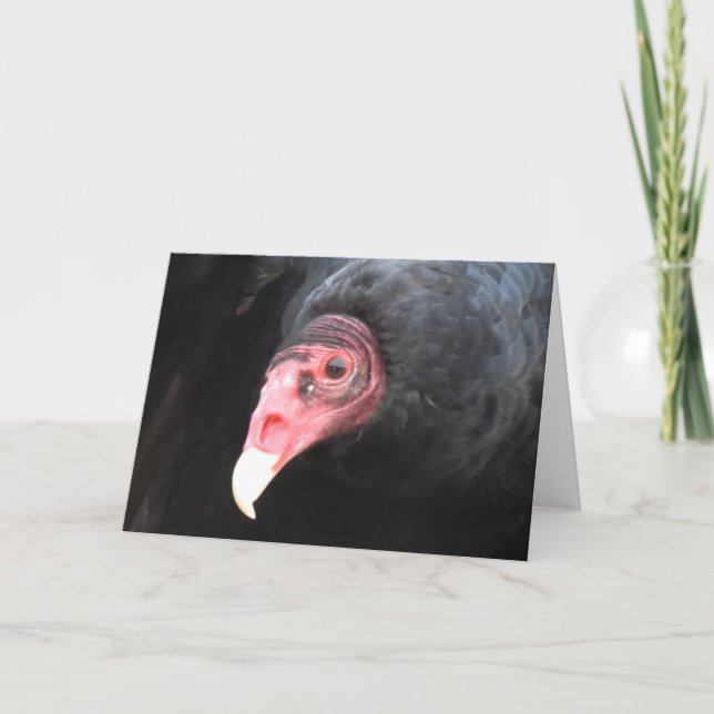 Türkische Vulturfotografie Karte (Vorderseite)