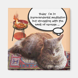 TÜRKISCHER CAT IN DER TRANSCENDENTAL MEDITATION MAGNET