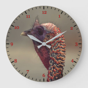 Türkisches Vogelportrait Große Wanduhr