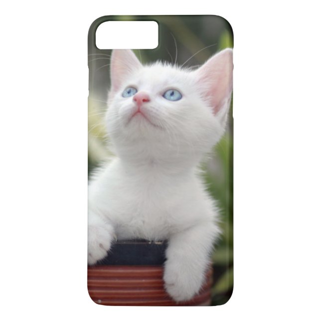 Türkisches weißes Kätzchen Case-Mate iPhone Hülle (Rückseite)