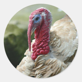 Türkisches Weißes Kopf-Foto Runder Aufkleber