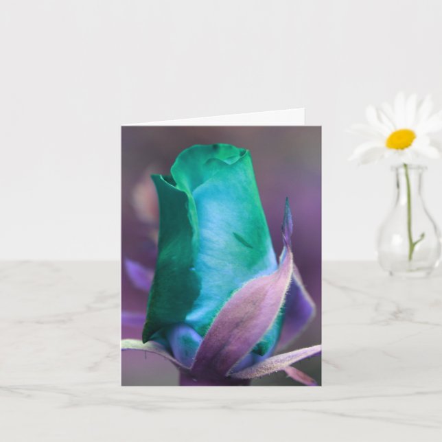 Türkisfarbene Rosenknospe-Blumenfotografie Karte (Kleine Pflanze)