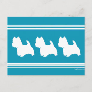 Türkisfarbene Westies Postkarte