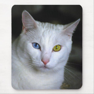 Turkish Angora Odd Eyes Mousepad