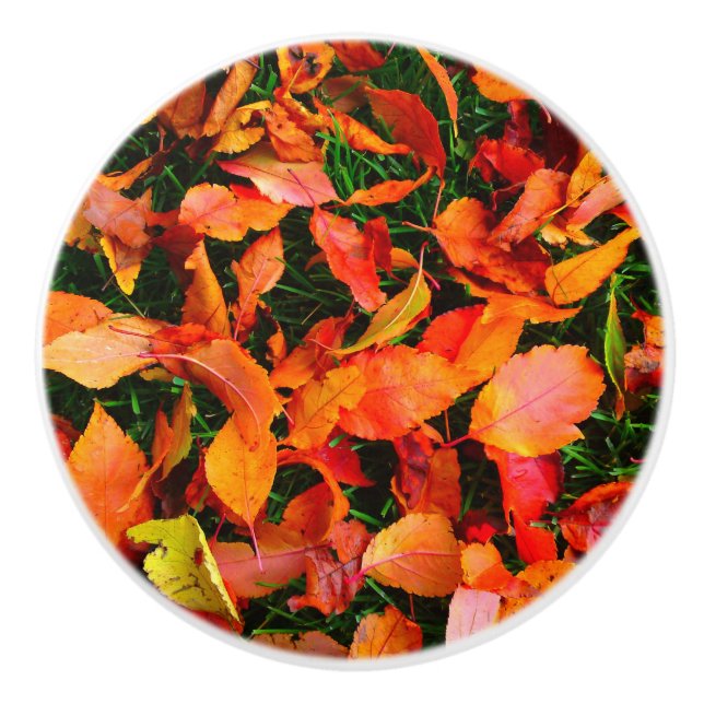 Türknopf für die Textur im Herbst Keramikknauf (Vorderseite)