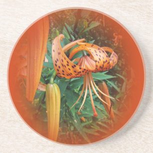 Turk's Cap Lily Wildblume Sandstein Untersetzer