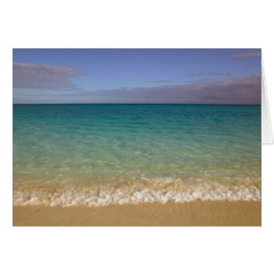 Turks et Caïcos, île de Providenciales, Grace 2
