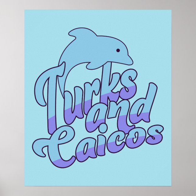 Turks- und Caicos-Delfin Poster (Vorne)
