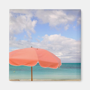 Turks und Caicos, Providenciales Island, Grace Magnet