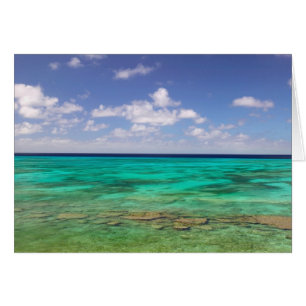 Turks- und Caicosinseln, Grand Turk Island, Cockbu