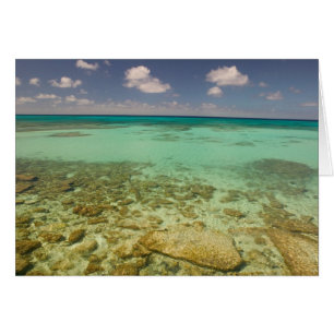 Turks- und Caicosinseln, Grand Turk Island, Cockbu