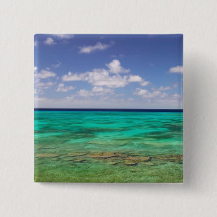 Turks- und Caicosinseln, Grand Turk Island, Cockbu Button