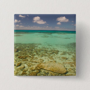 Turks- und Caicosinseln, Grand Turk Island, Cockbu Button