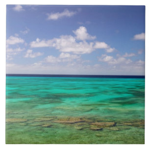 Turks- und Caicosinseln, Grand Turk Island, Cockbu Fliese