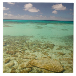 Turks- und Caicosinseln, Grand Turk Island, Cockbu Fliese