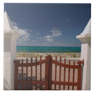 Turks- und Caicosinseln, Grand Turk Island, Cockbu Fliese