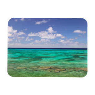Turks- und Caicosinseln, Grand Turk Island, Cockbu Magnet