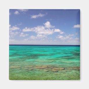 Turks- und Caicosinseln, Grand Turk Island, Cockbu Magnet