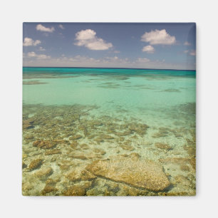 Turks- und Caicosinseln, Grand Turk Island, Cockbu Magnet
