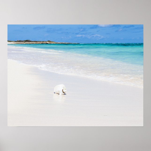 Turks- und Caicosinseln Poster (Vorne)