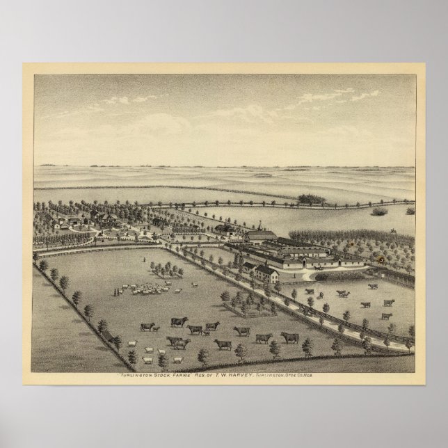 Turlington Farms, Nebraska Poster (Vorne)