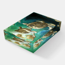 Turltes Sunlight Swim