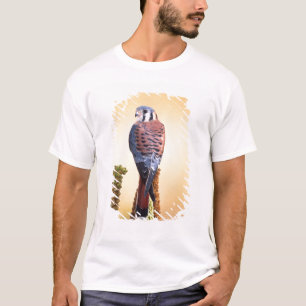 Turmfalke, Falco sparverius, Einheimisch in den US T-Shirt