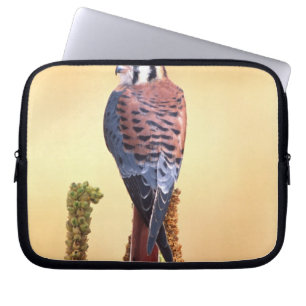 Turmfalke, Falco sparverius, Einheimisch in USA &  Laptopschutzhülle
