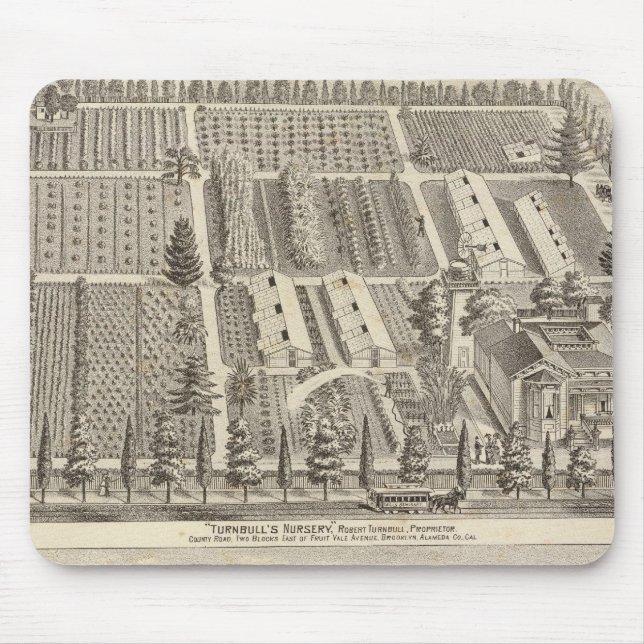 Turnbull's Kinderzimmer, Fitch res Mousepad (Vorne)